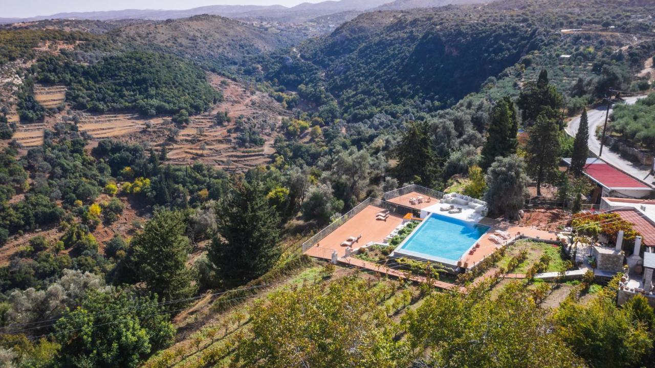Villa Nassibe Estate à Agios Ioannis  Extérieur photo