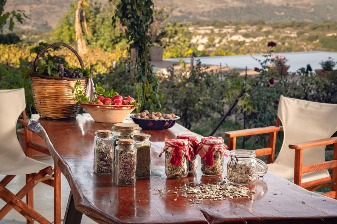 Villa Nassibe Estate à Agios Ioannis  Extérieur photo