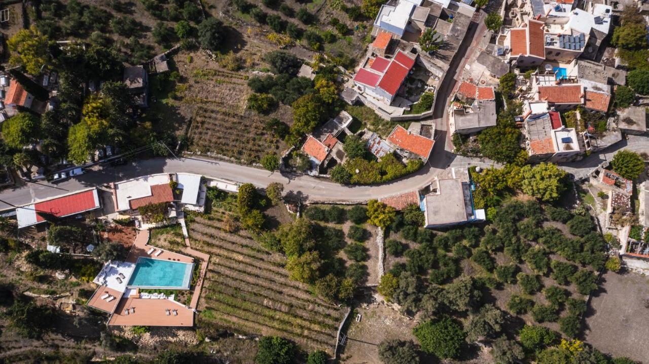 Villa Nassibe Estate à Agios Ioannis  Extérieur photo